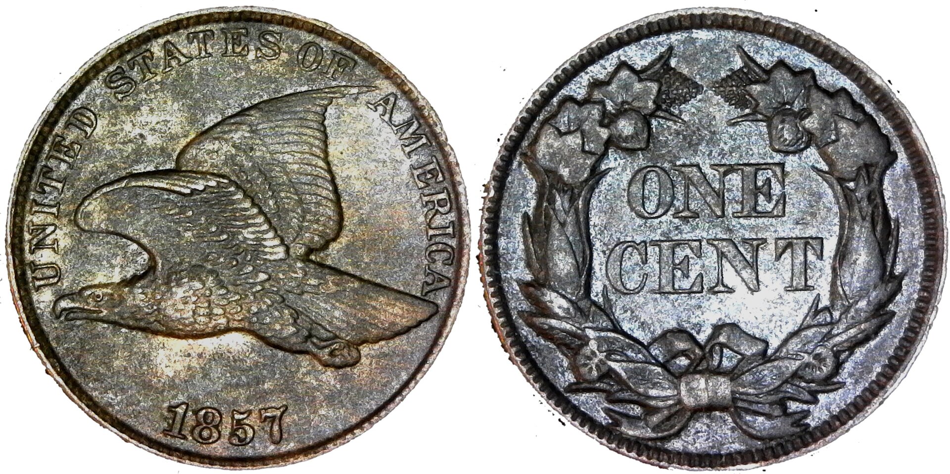 United States One Cent 1857 obv-cutout-side.jpg