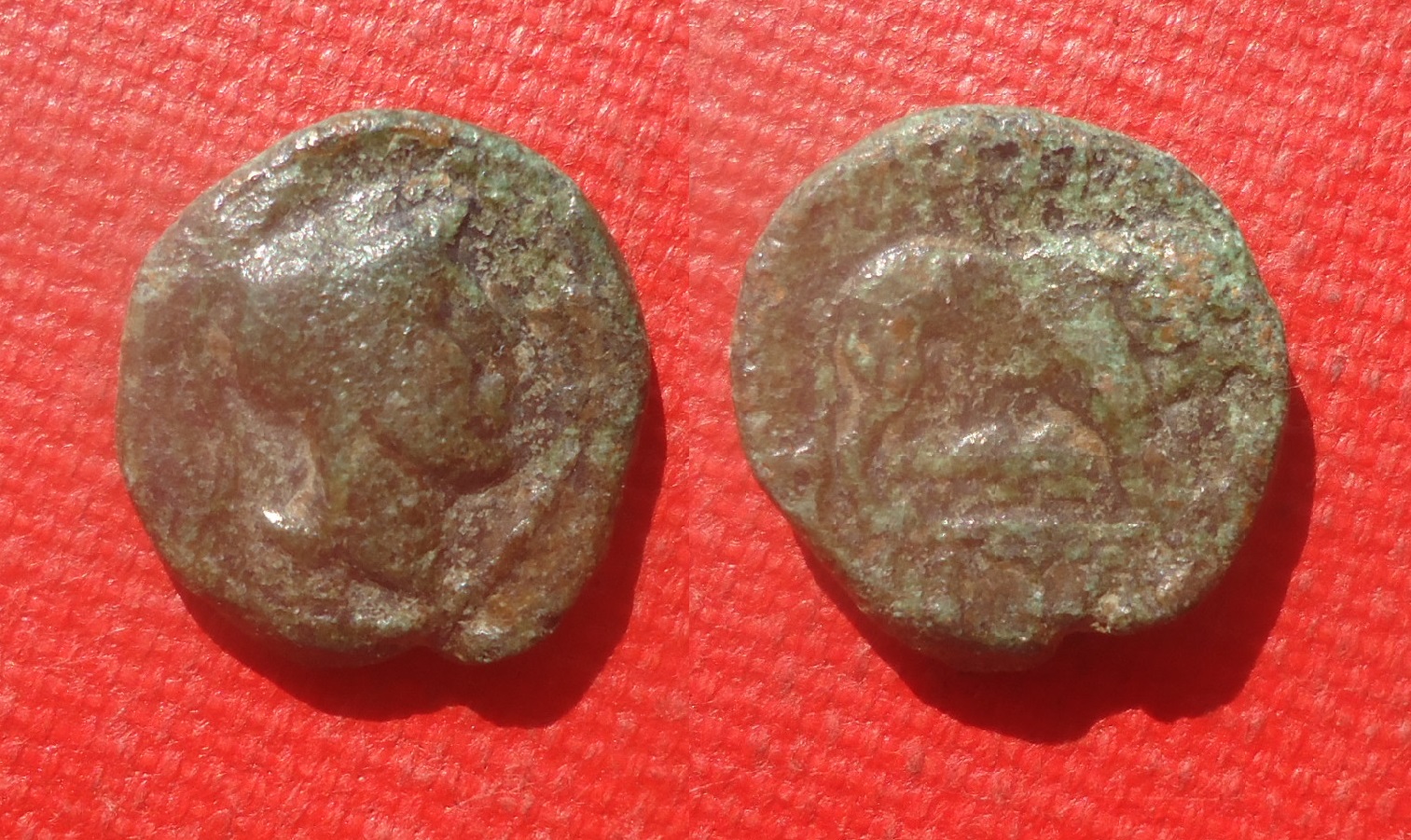 Unknown - AE Athena Lion Lot Mar 2021 (0).jpg