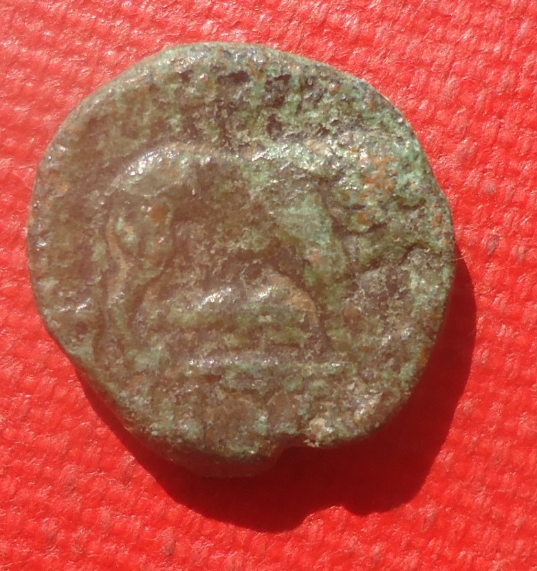 Unknown - AE Athena Lion Lot Mar 2021 (0det).jpg