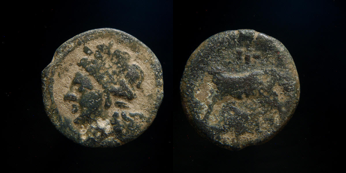 Unknown Ae Massalia 19mm,4.3g.JPG