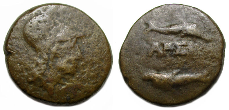Unknown Athena Dolphins 2.jpg