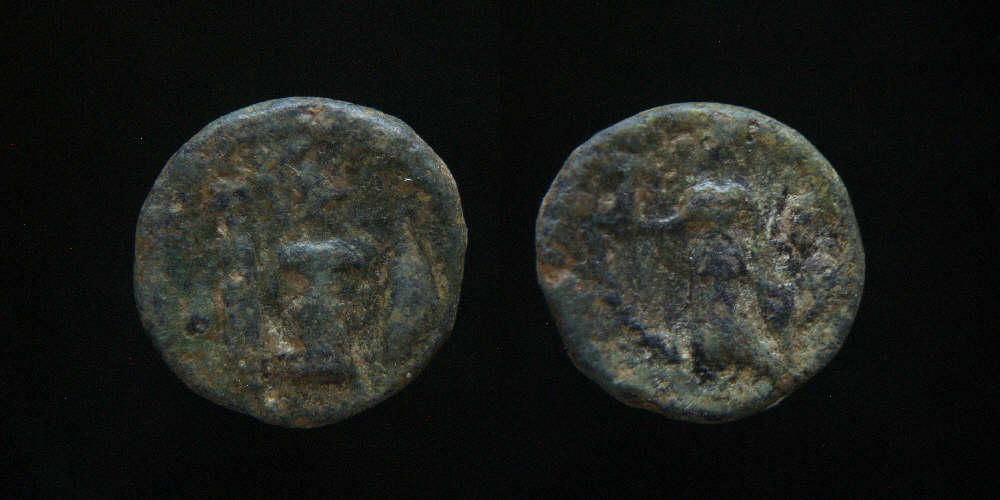 unknown athena nike.JPG