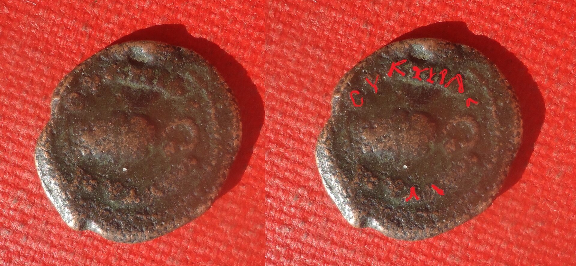 Unknown - Cluster of Grapes NC lot Mar 2021 (0bc).jpg