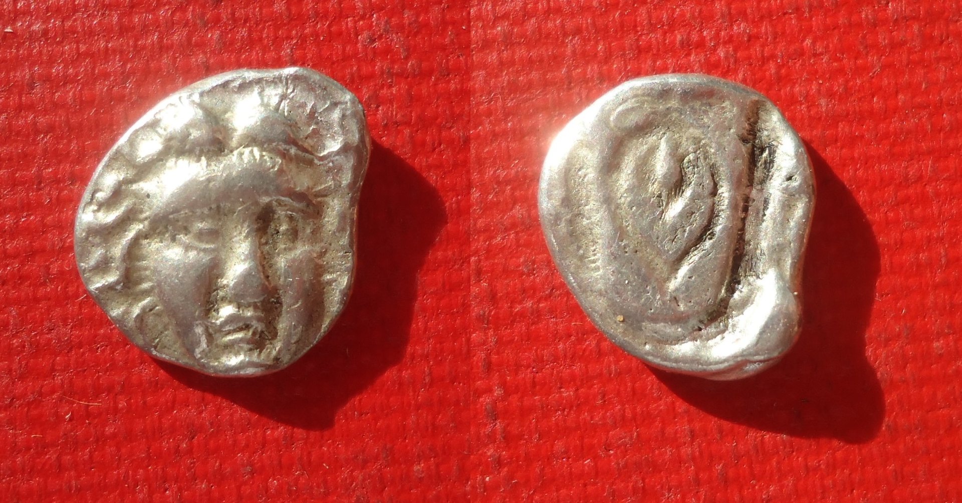 Unknown Greek AR Helios flower 2013 (0).jpg