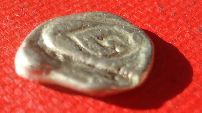 Unknown Greek AR Helios flower 2013 (8).JPG