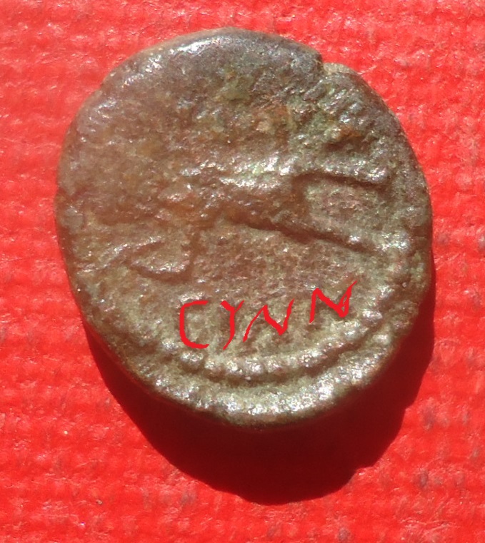 Unknown - Zeus & Artemis lot Apr 2021 (0det2).jpg