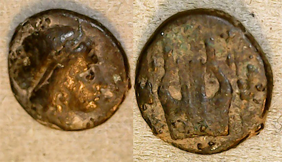 Unknown11mm1d5g.jpg