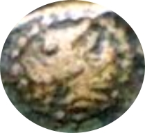 Untitled 1.jpg