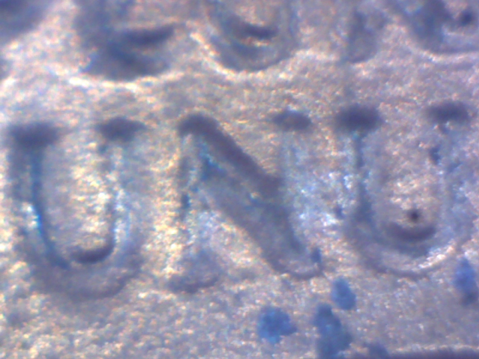 unublur.jpg