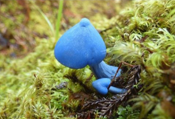 upload_2015-10-28_19-39-22.png