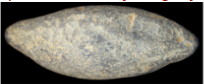 upload_2016-5-20_10-32-37.png