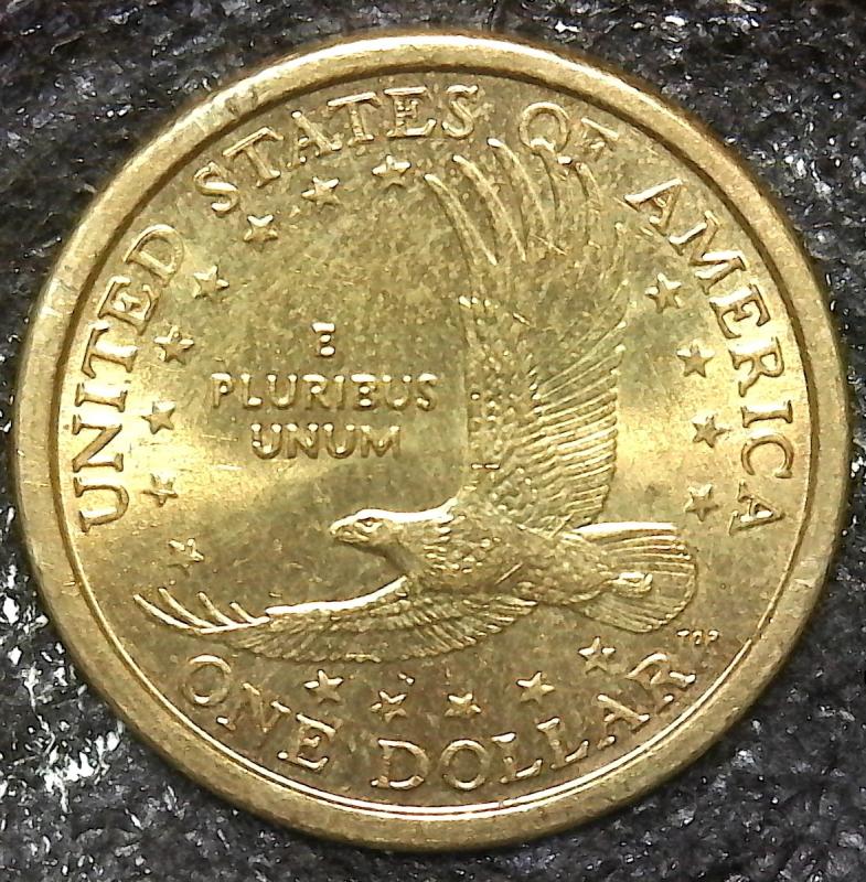 2000 P Wounded Eagle Coin Talk,Black Window Muntins