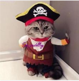 upload_2018-9-19_15-21-17.png