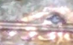 upload_2019-1-16_13-18-8.png