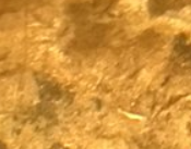upload_2019-1-24_15-29-50.png