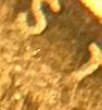 upload_2019-1-24_15-33-53.png