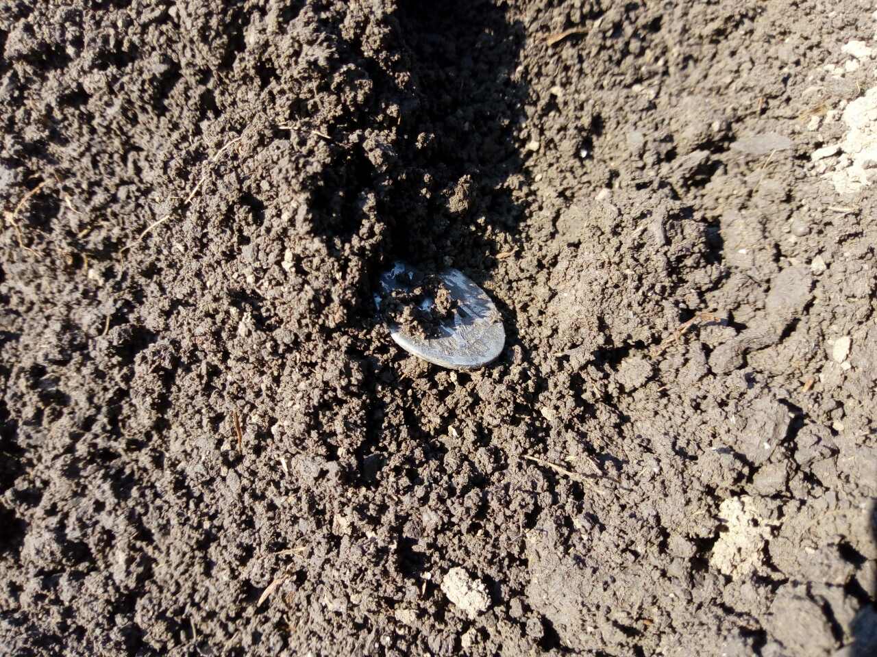 upload_2019-2-25_16-7-1.jpeg