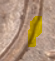 upload_2019-3-27_20-36-9.png