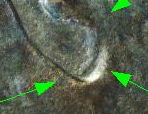 upload_2019-3-6_10-31-57.png
