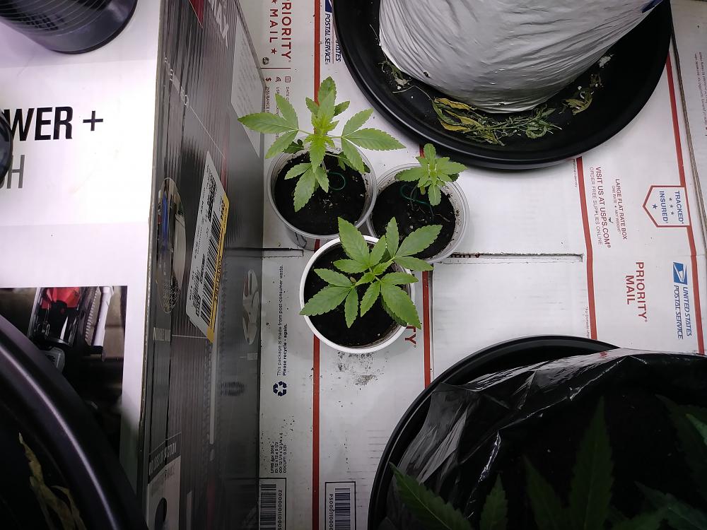 upload_2019-5-10_11-13-50.jpeg
