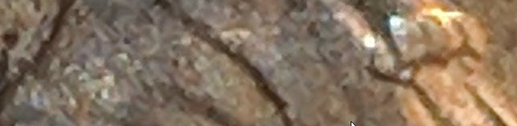 upload_2019-5-20_9-8-46.png