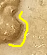 upload_2019-5-22_9-51-19.png