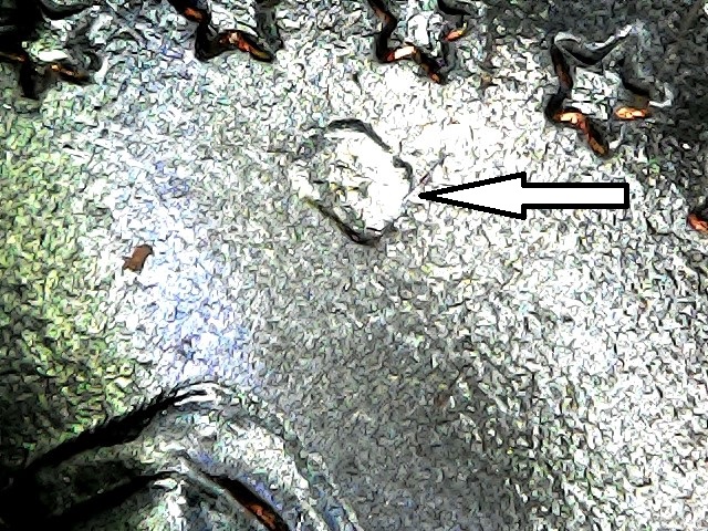 upload_2020-1-5_12-18-10.jpeg