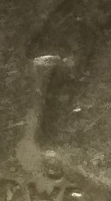 upload_2020-10-1_18-33-40.png