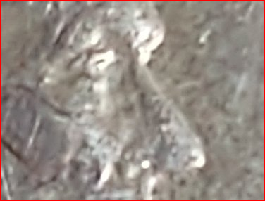 upload_2020-12-16_17-56-44.png