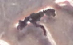 upload_2020-2-10_13-29-57.png
