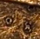 upload_2020-2-24_22-40-0.png