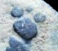 upload_2020-3-24_0-58-33.png