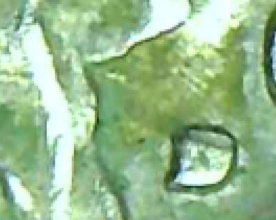 upload_2020-3-4_15-46-32.png