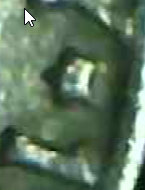 upload_2020-3-4_15-50-48.png