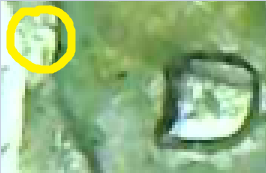 upload_2020-3-4_15-55-18.png
