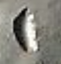 upload_2020-9-10_12-8-8.png