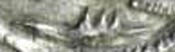 upload_2021-3-15_16-59-12.png