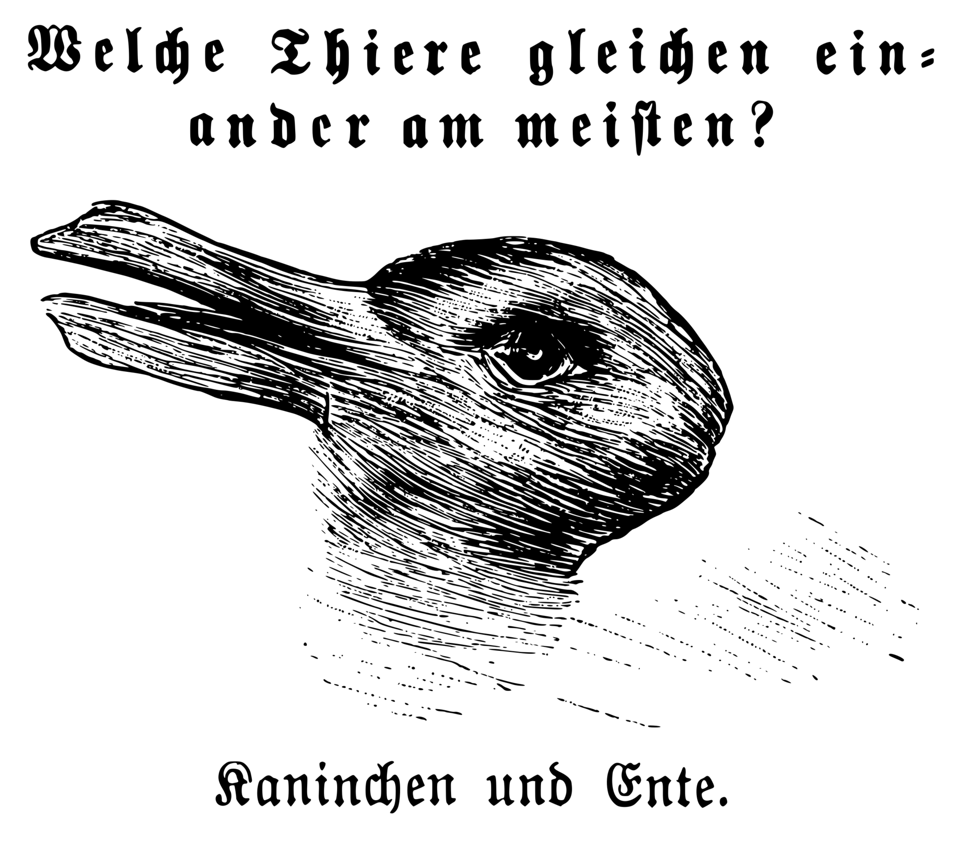 upload_2022-1-27_19-39-41.png