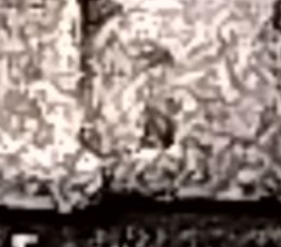 upload_2024-3-29_12-57-28.png