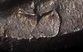 upload_2025-7-12_17-19-14.png