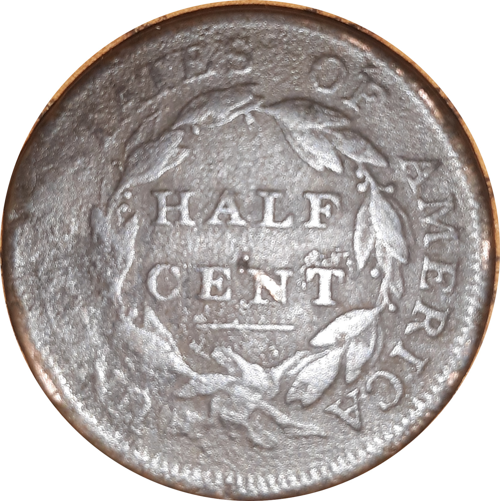 US-HC-1809-C2-rev.jpg