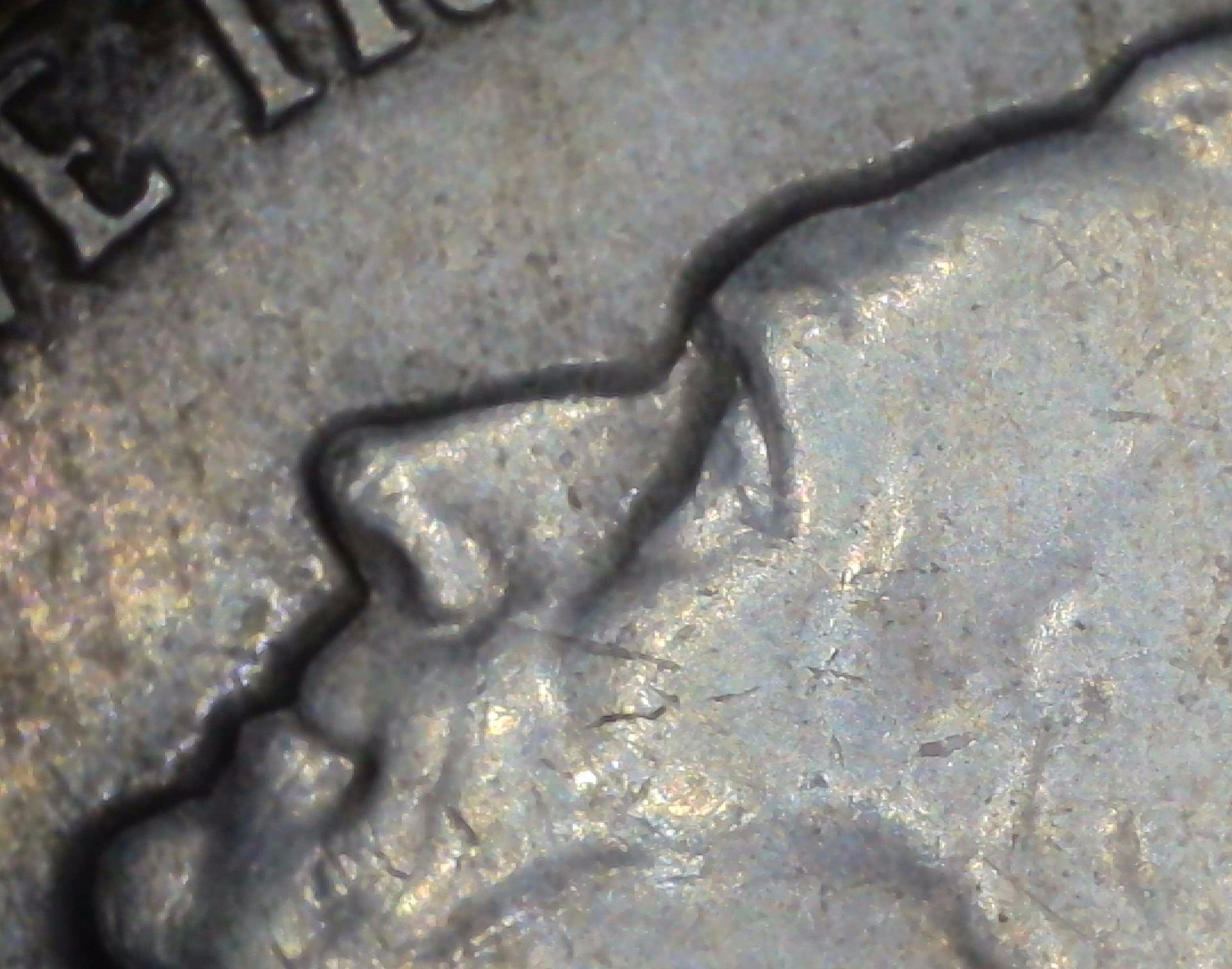 US Jefferson Nickel 1959 #1 Obverse-Face Outline Closeup.jpg