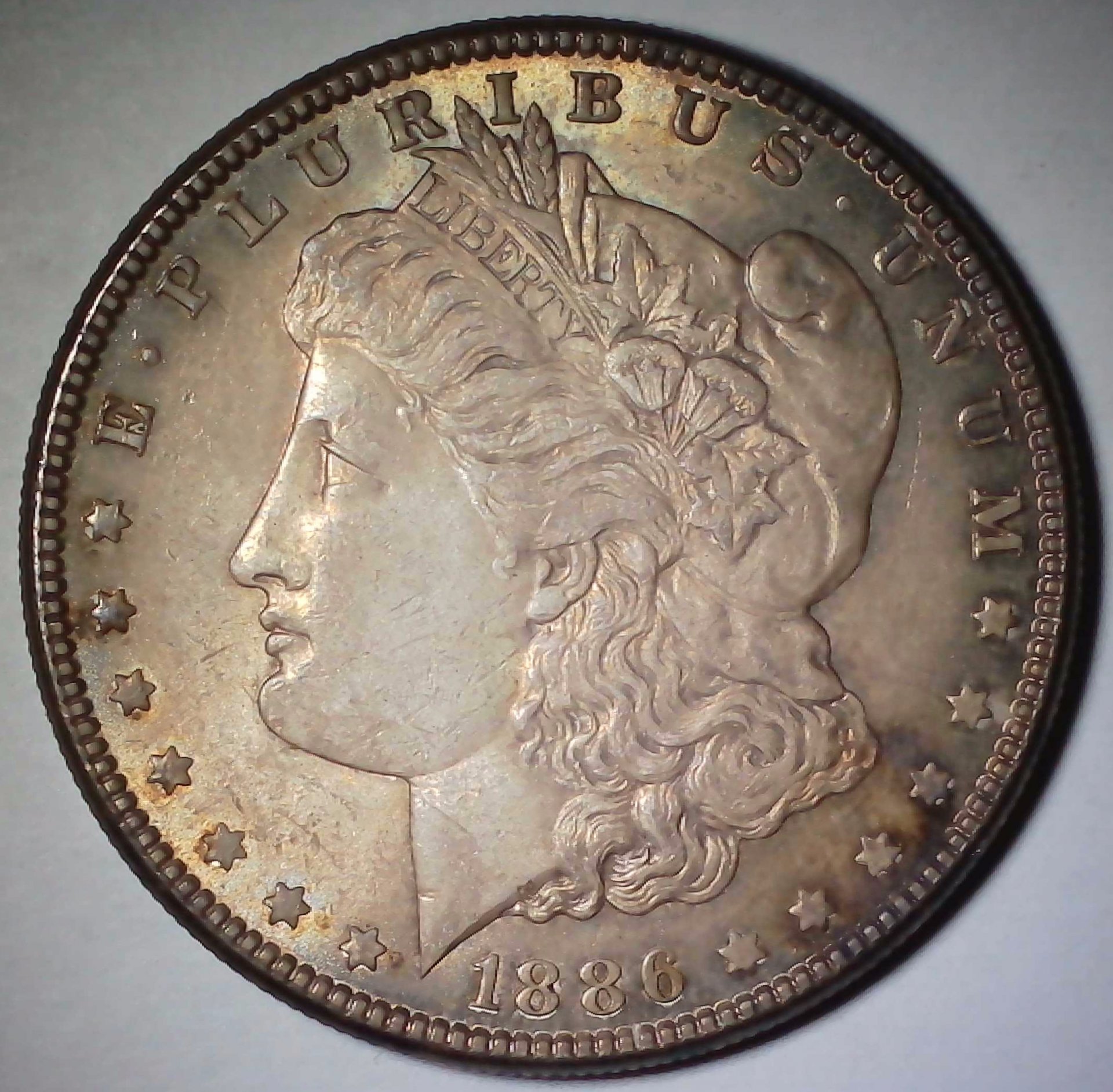 US Morgan Dollar 1886 #1 Obverse.jpg