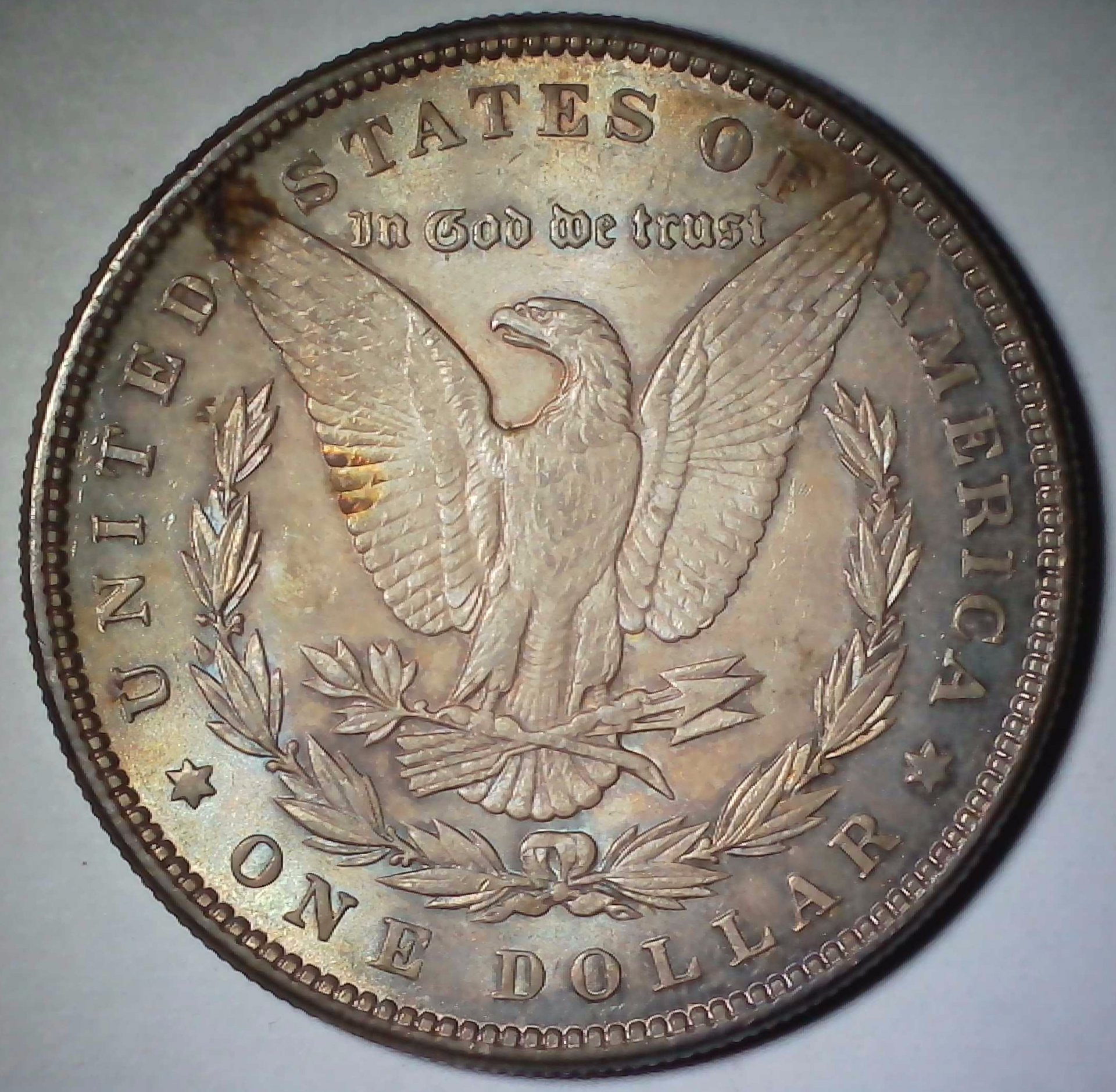 US Morgan Dollar 1886 #1 Reverse.jpg