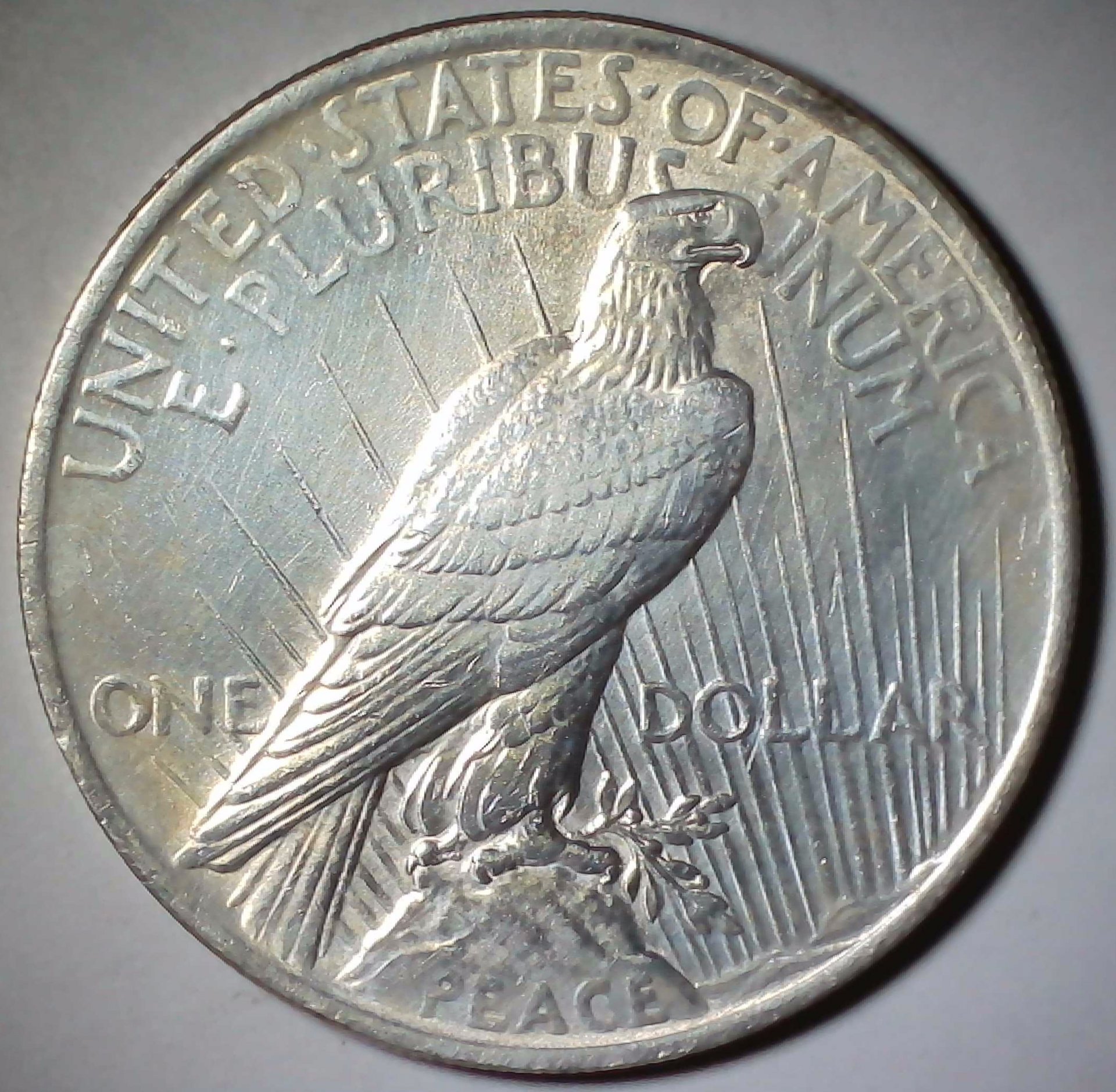US Peace Dollar 1923 #L1 Reverse.jpg