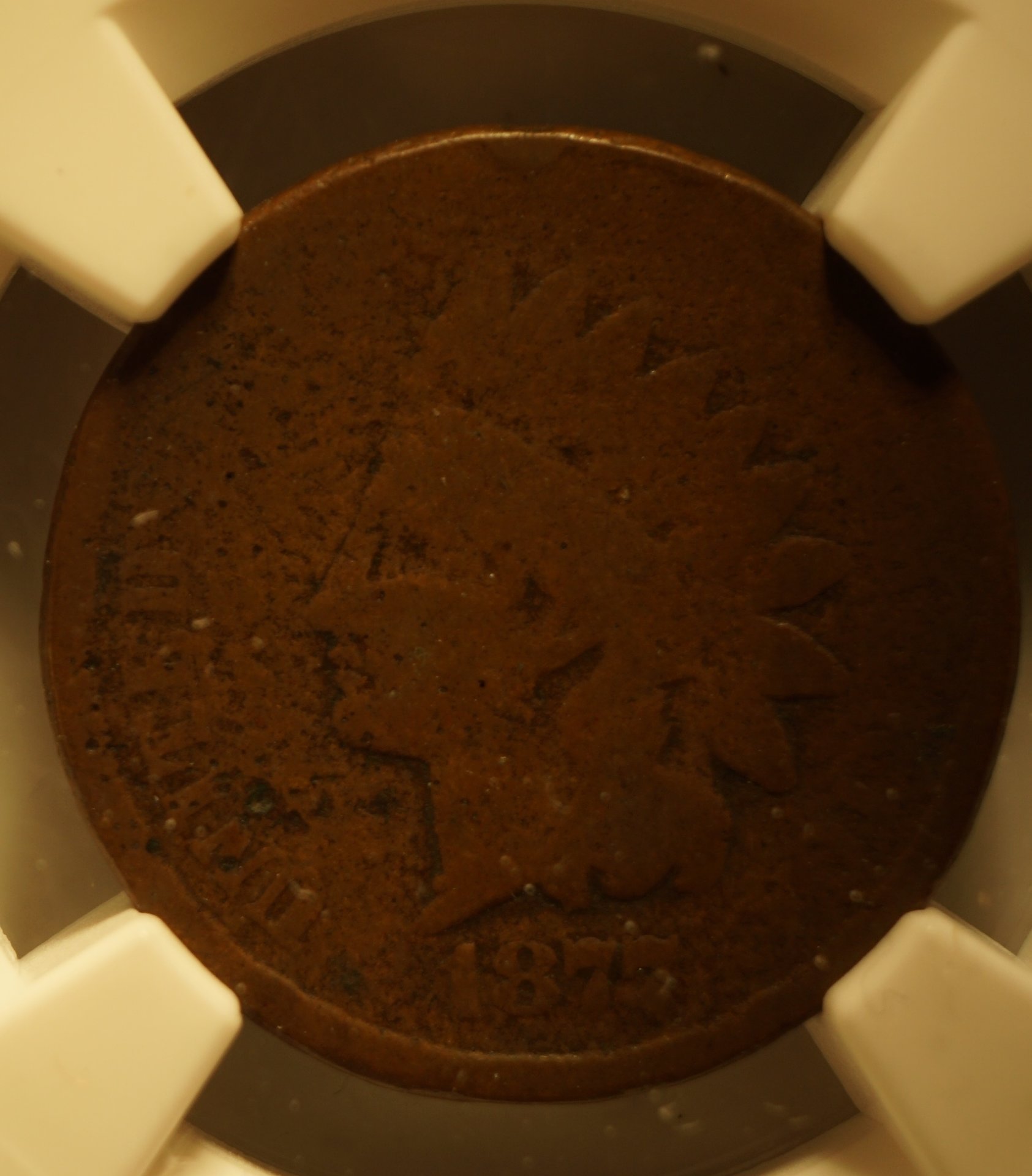 US1C187703.JPG