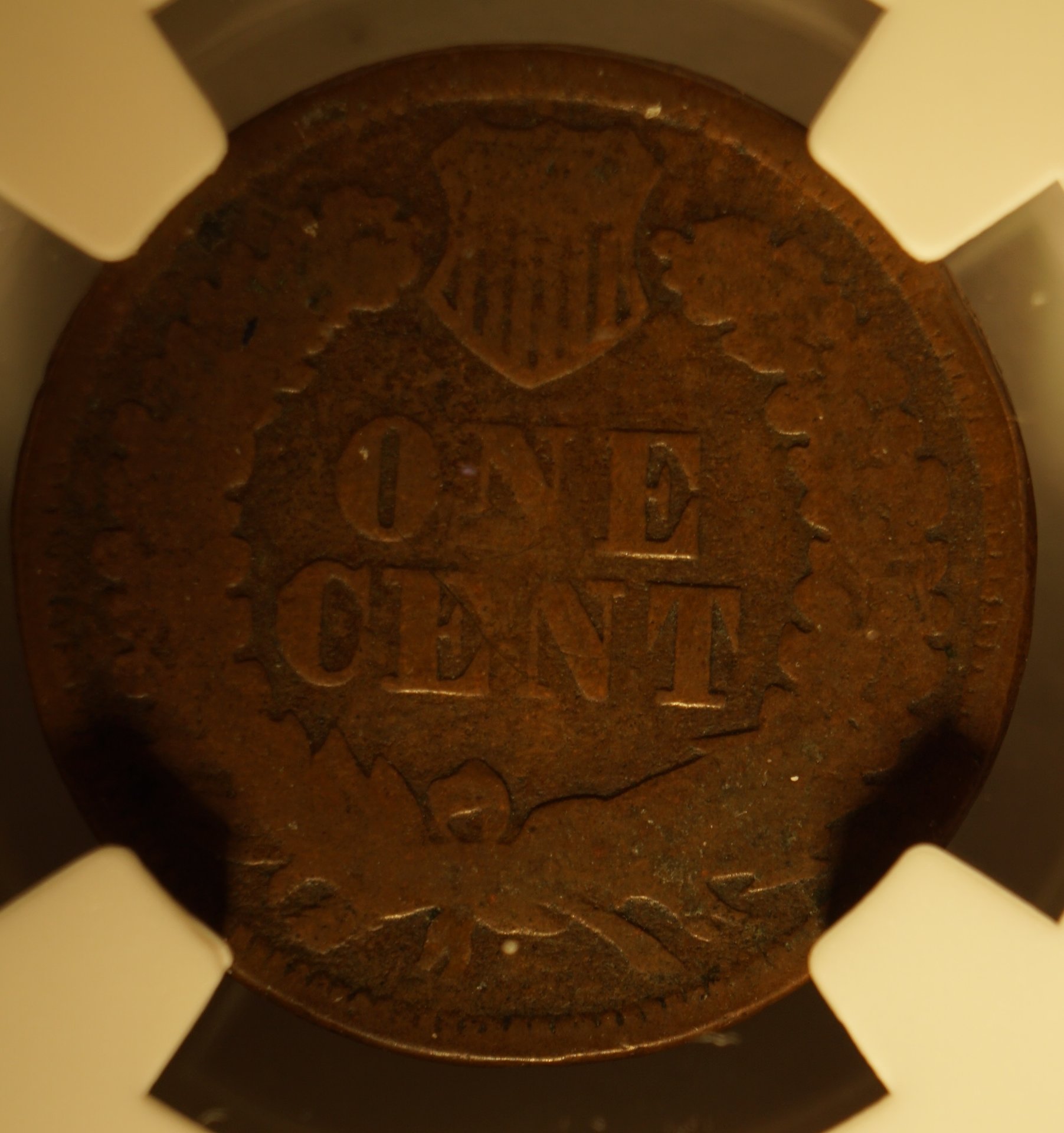 US1C187704.JPG