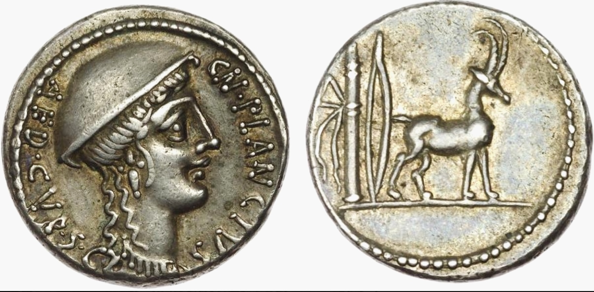USE Cn. Plancius - Cretan goat - jpg version.jpg