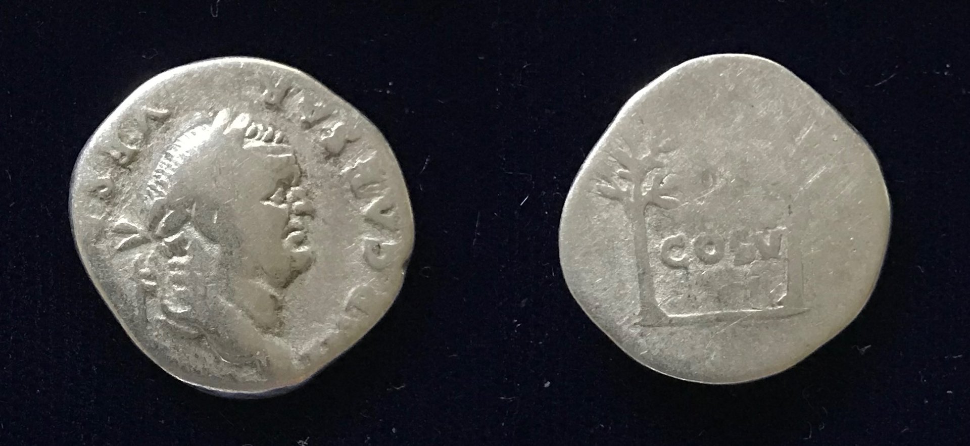 V 681 2.jpg