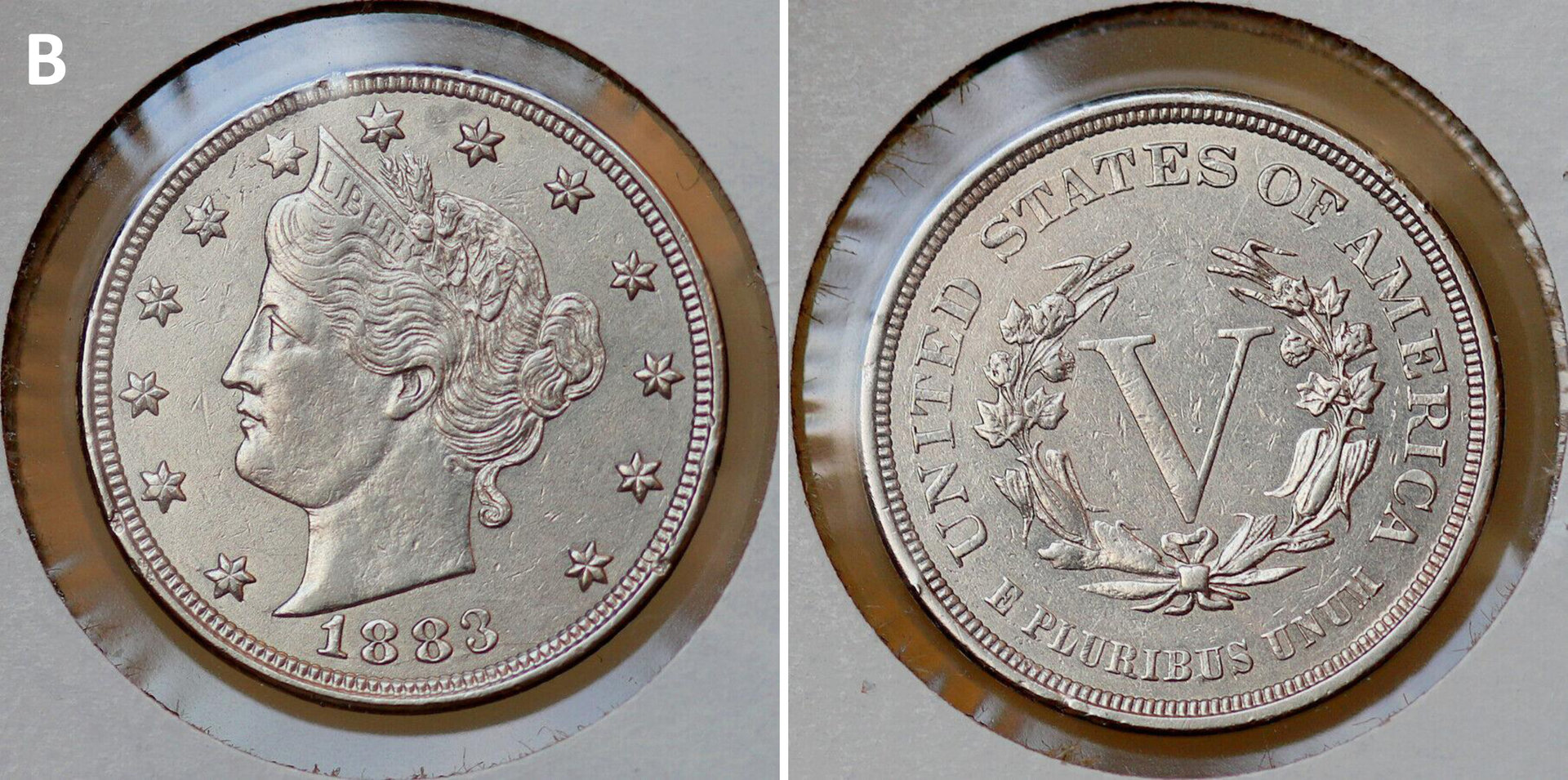 V Nickel B.jpg